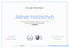 Google Dig. Marketing Certificate